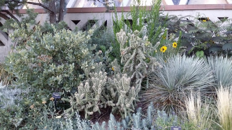 20150909_184025.jpg