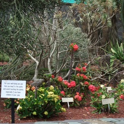 Royal Botanic Gardens
