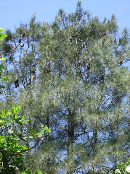 55.JPG