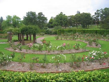 Ботанический сад Вуллонгонгского университета