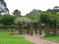 Ботанический сад Вуллонгонгского университета