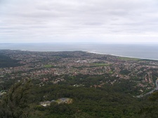 Ботанический сад Вуллонгонгского университета