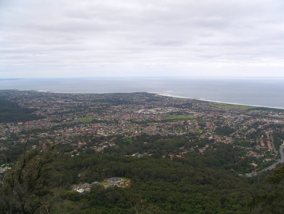 Ботанический сад Вуллонгонгского университета