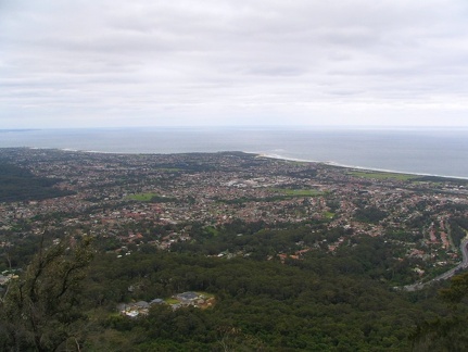 Ботанический сад Вуллонгонгского университета