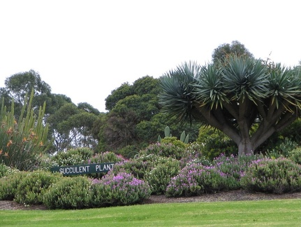 Ботанический сад Вуллонгонгского университета