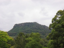 Ботанический сад Вуллонгонгского университета