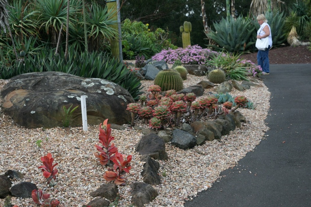 Ботанический сад Вуллонгонгского университета