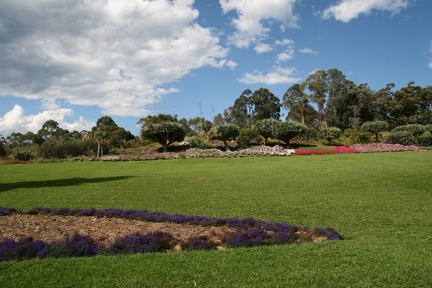 Ботанический сад Вуллонгонгского университета