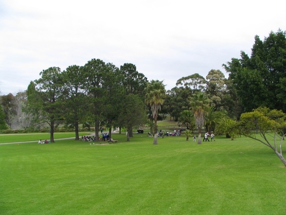 Ботанический сад Вуллонгонгского университета