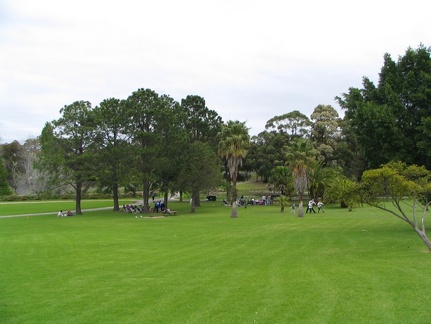 Ботанический сад Вуллонгонгского университета