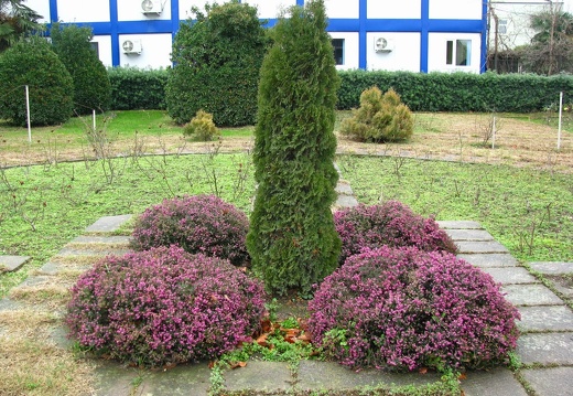 Парк &quot;Южные культуры&quot; (Адлер, РФ) 