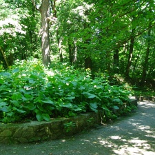  Парк &quot;Александрия&quot; (г. Белая Церковь, Украина)