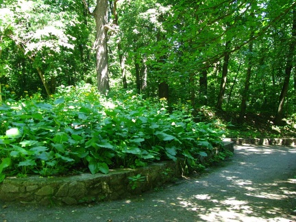  Парк &quot;Александрия&quot; (г. Белая Церковь, Украина)