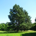  Парк &quot;Александрия&quot; (г. Белая Церковь, Украина)