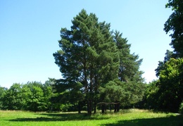  Парк &quot;Александрия&quot; (г. Белая Церковь, Украина)