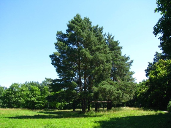  Парк &quot;Александрия&quot; (г. Белая Церковь, Украина)