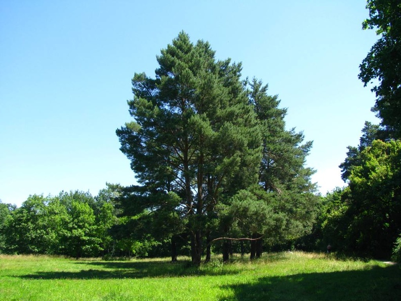  Парк &quot;Александрия&quot; (г. Белая Церковь, Украина)