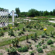  Парк &quot;Александрия&quot; (г. Белая Церковь, Украина)