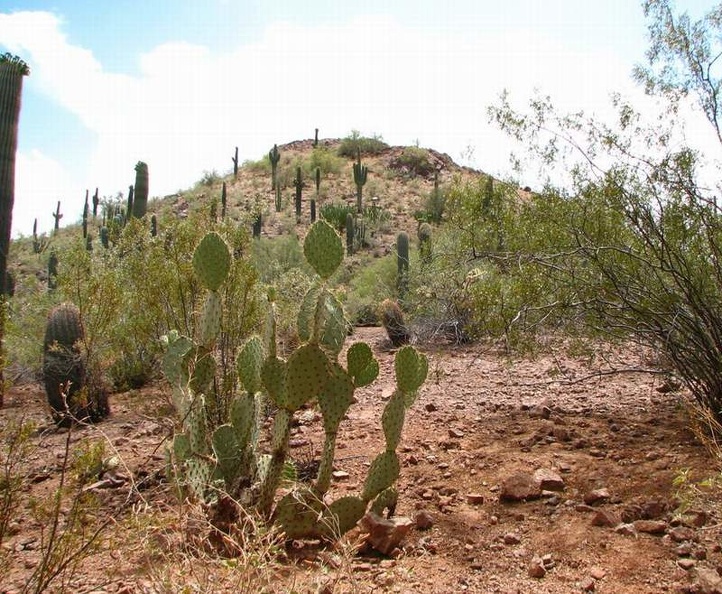 arizona_0199.JPG