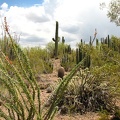 arizona_0243.JPG