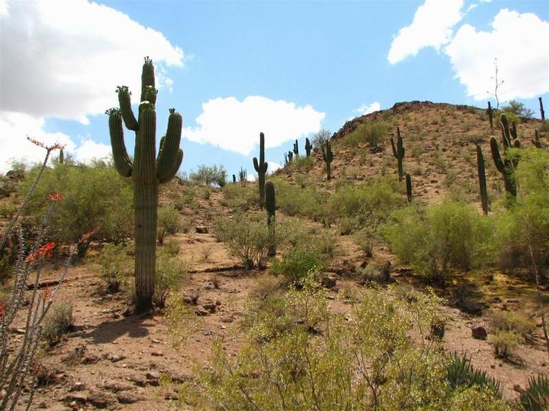 arizona_0258.JPG