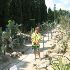 Ботанический сад в Балчике (Болгария) 2008 (1764 відвідувань) Фото Галина Радкова (Варна, Болгария)
Ботанический сад в Балчике (Болгария) 2008
