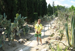 Ботанический сад в Балчике (Болгария) 2008