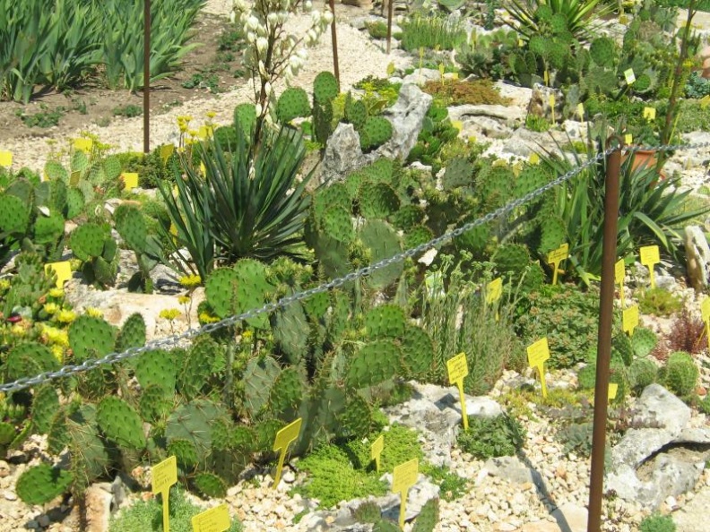 Ботанический сад в Балчике (Болгария) 2008
