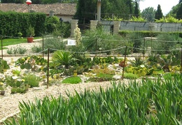 Ботанический сад в Балчике (Болгария) 2008