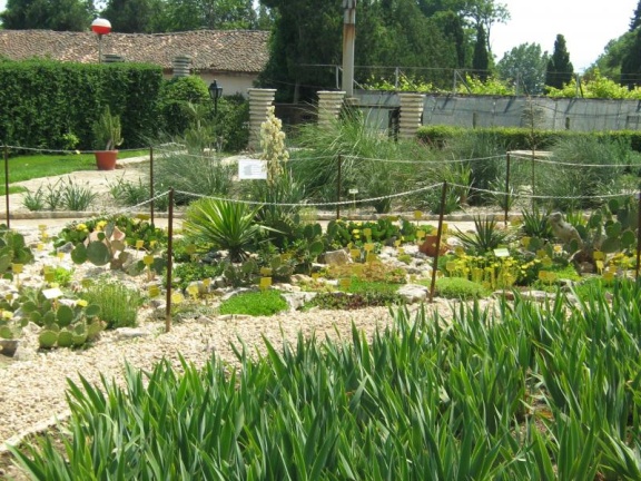 Ботанический сад в Балчике (Болгария) 2008