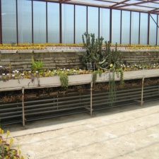 Ботанический сад в Балчике (Болгария) 2008