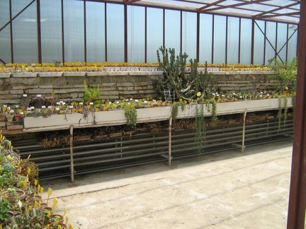 Ботанический сад в Балчике (Болгария) 2008