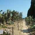 Ботанический сад в Балчике (Болгария) 2008