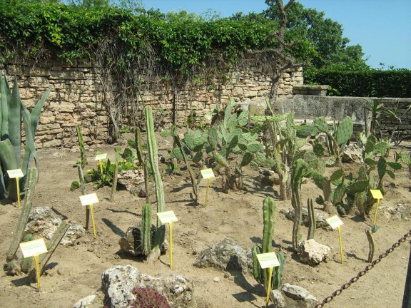 Ботанический сад в Балчике (Болгария) 2008