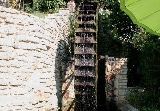 Ботанический сад в Балчике (Болгария) 2013