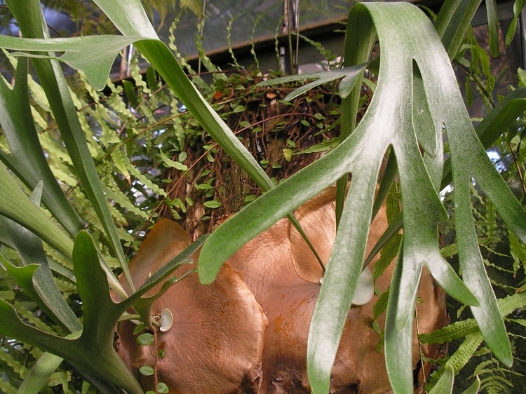 P6301743J