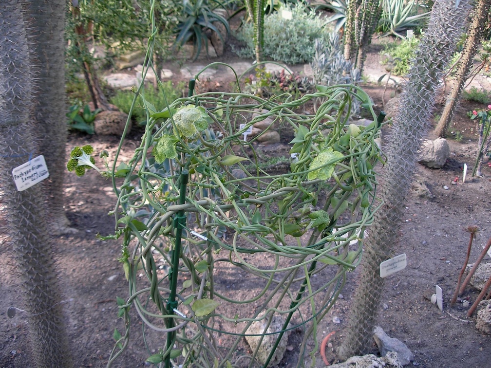 P6301759J