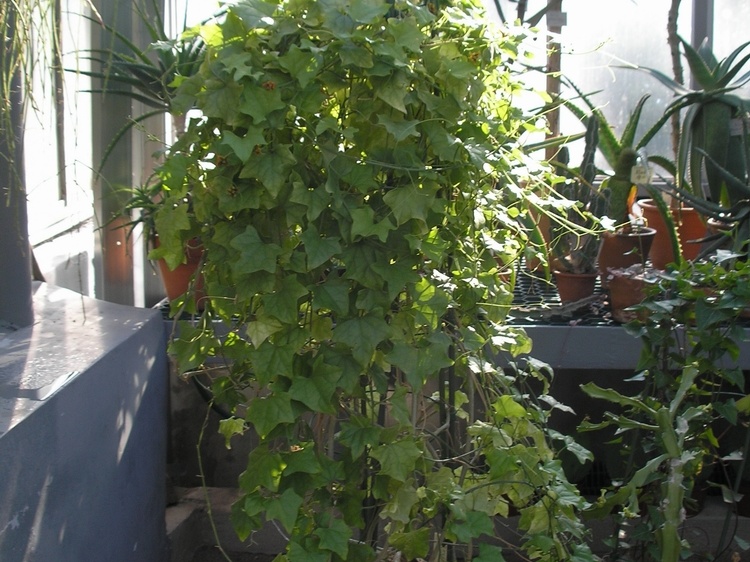 P6301761J