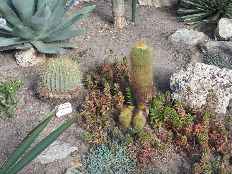 P6301771J.JPG