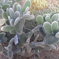 P6301778J