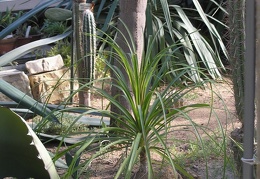 P6301795J