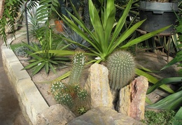 P6301797J