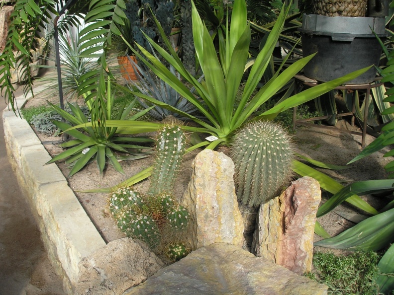 P6301797J