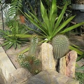 P6301797J.JPG