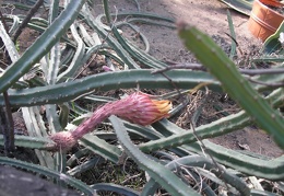 P6301809J