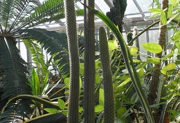 P6301814