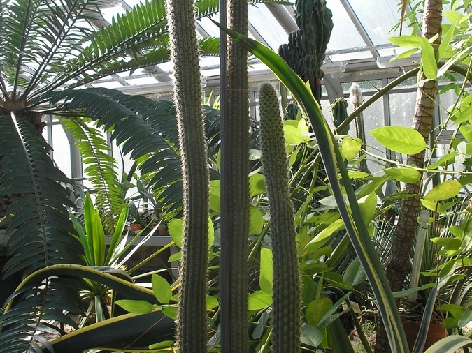 P6301814