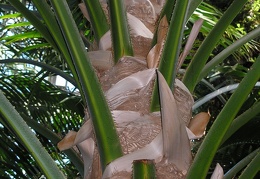 P6301838J