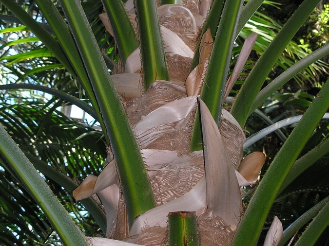 P6301838J
