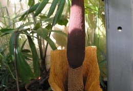 P6301854J